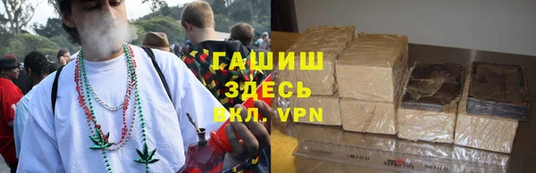 ECSTASY Бородино