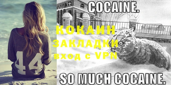 дмт Бронницы