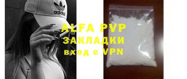 ECSTASY Бородино