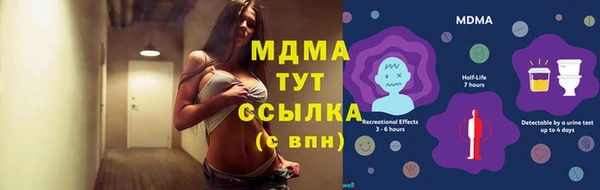 ECSTASY Бородино