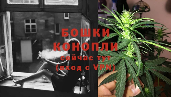 дмт Бронницы