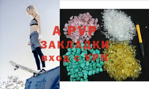 ECSTASY Бородино