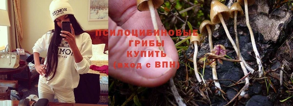 бошки Бугульма