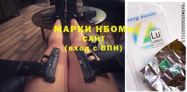ECSTASY Бородино