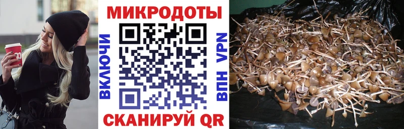 мориарти клад  сколько стоит  Южно-Сахалинск  Галлюциногенные грибы Magic Shrooms 